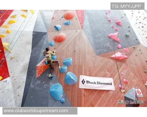 上海攀岩队协作之道：探秘团队配合与攀登技巧的完美融合