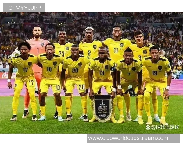 厄瓜多尔对阵韩国足球赛前瞻与胜负预测分析