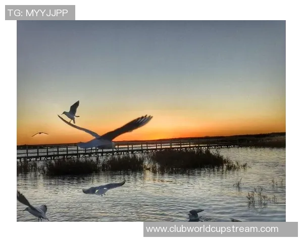 姜宇星的成长之路与梦想追逐：从普通少年到闪耀星光的奋斗故事